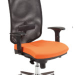 scaun operational just y premier 1